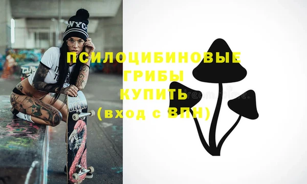 соль курить ск Медвежьегорск