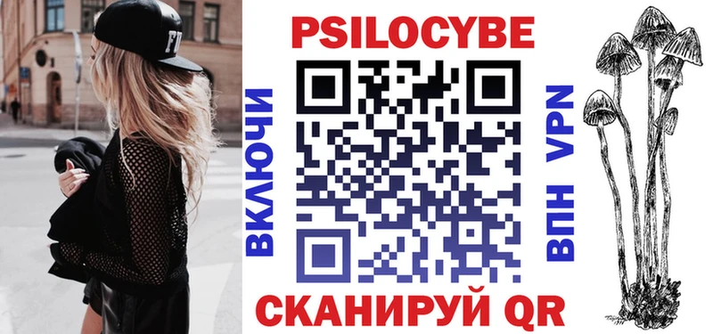 Псилоцибиновые грибы MAGIC MUSHROOMS  купить закладку  Туринск 